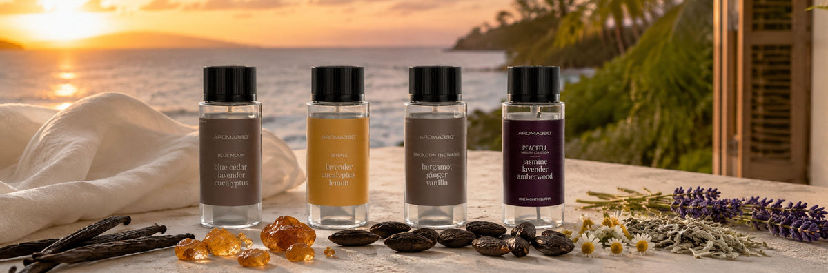 The Best Calming Scents for the Home (2026 Guide)