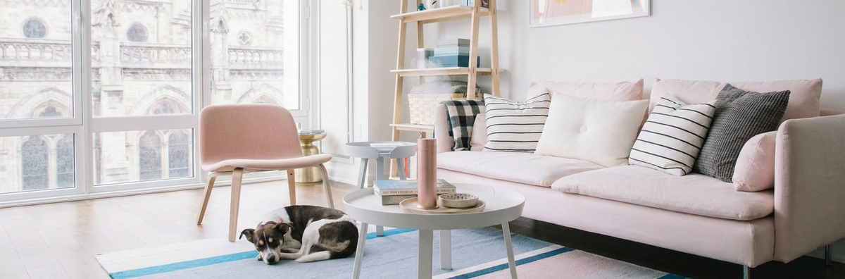 Are Diffusers Bad for Dogs? What Pet Owners Need to Know