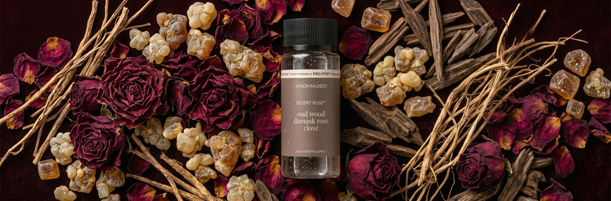 Frankincense Home Fragrance Scents for Diffusers | Aroma360