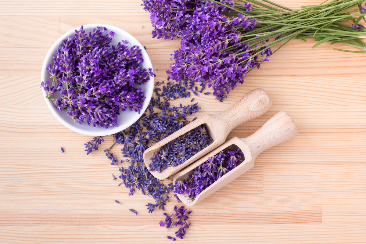 Highlighting the lovely scent of Lavender